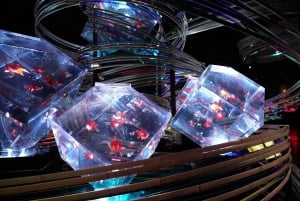 Tokyo: Art Aquarium Museum GINZA Inngangsbillett