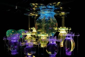 Tokyo: Art Aquarium Museum GINZA Inngangsbillett