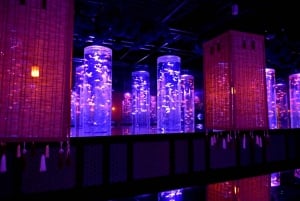 Tokyo: Art Aquarium Museum GINZA Inngangsbillett