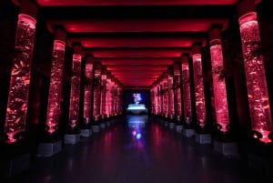 Tokyo: Art Aquarium Museum GINZA Inngangsbillett