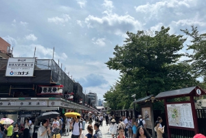 Tokio: Asakusa und Tokios ältester Tempel Senso-ji Tour