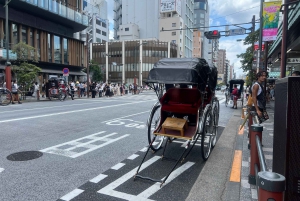Tokio: Asakusa und Tokios ältester Tempel Senso-ji Tour