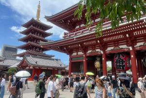 Tokio: Asakusa und Tokios ältester Tempel Senso-ji Tour
