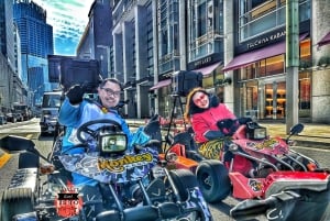 Tokyo: Asakusa and Skytree, Akhihabara Go-Kart Tour