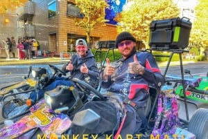 Tokyo: Asakusa and Skytree, Akhihabara Go-Kart Tour