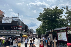 Tokyo: Tour di Asakusa e del tempio più antico di Tokyo, Senso-ji