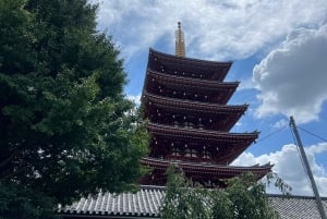 Tokyo: Tour di Asakusa e del tempio più antico di Tokyo, Senso-ji