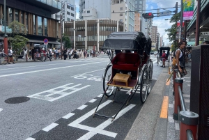Tokyo: Tour di Asakusa e del tempio più antico di Tokyo, Senso-ji