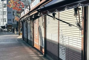Tokyo: tour a piedi di Asakusa, Kappabashi e Ueno