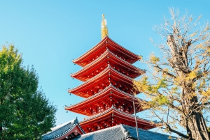 Tokio: Asakusa, Meiji-Schrein, Harajuku, Shibuya Walking Tour