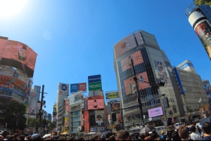 Tokio: Asakusa, Meiji-Schrein, Harajuku, Shibuya Walking Tour