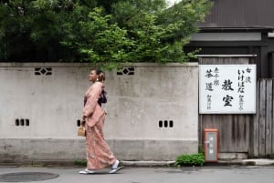 Асакуса, Токио: аренда кимоно Miu и фотосессия по желанию