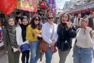 Tokio: Asakusa und Tokios ältester Tempel Senso-ji Tour
