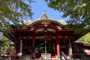 Tokyo: Asakusa, shopping Bike Tour