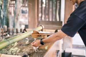 Tokyo: Asakusa, shopping Bike Tour