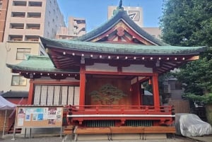 Tokyo: tour guidato del Santuario di Asakusa e del cimitero di Yanaka