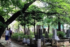 Tokyo: tour guidato del Santuario di Asakusa e del cimitero di Yanaka
