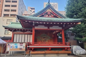 Tokio: Asakusa-schrijn en Yanaka-begraafplaats met rondleiding