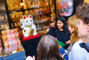 Tokyo : visite à pied du temple et du sanctuaire d'Asakusa avec un guide de la région