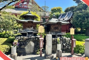 Tokyo : visite à pied du temple et du sanctuaire d'Asakusa avec un guide de la région