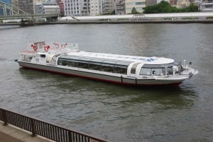 Tokyo: crociera fluviale da Asakusa a Odaiba con la Mizube Cruise Line