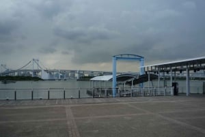 Tokyo: crociera fluviale da Asakusa a Odaiba con la Mizube Cruise Line