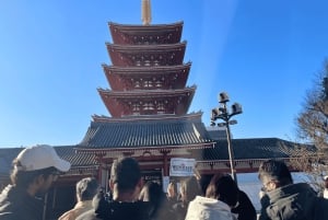 Tokio: Rundgang durch den Asakusa-Tempel und -Schrein mit ortskundigem Guide