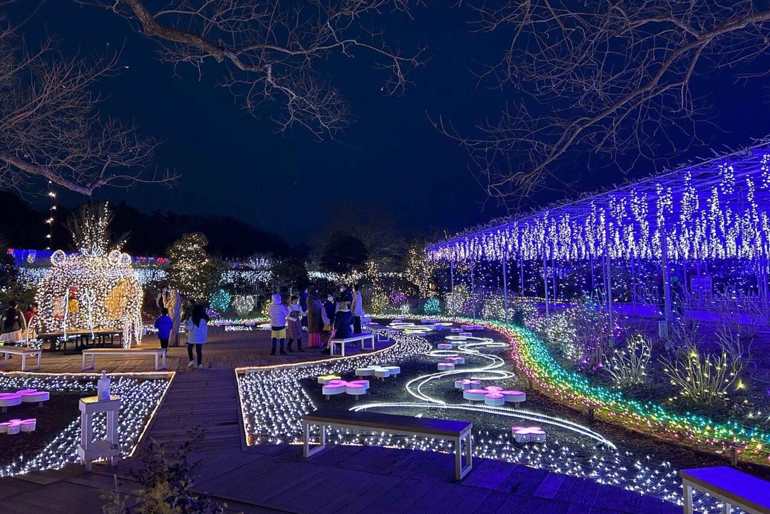 Tokio: Ashikaga Flower Park z biletem wstępu