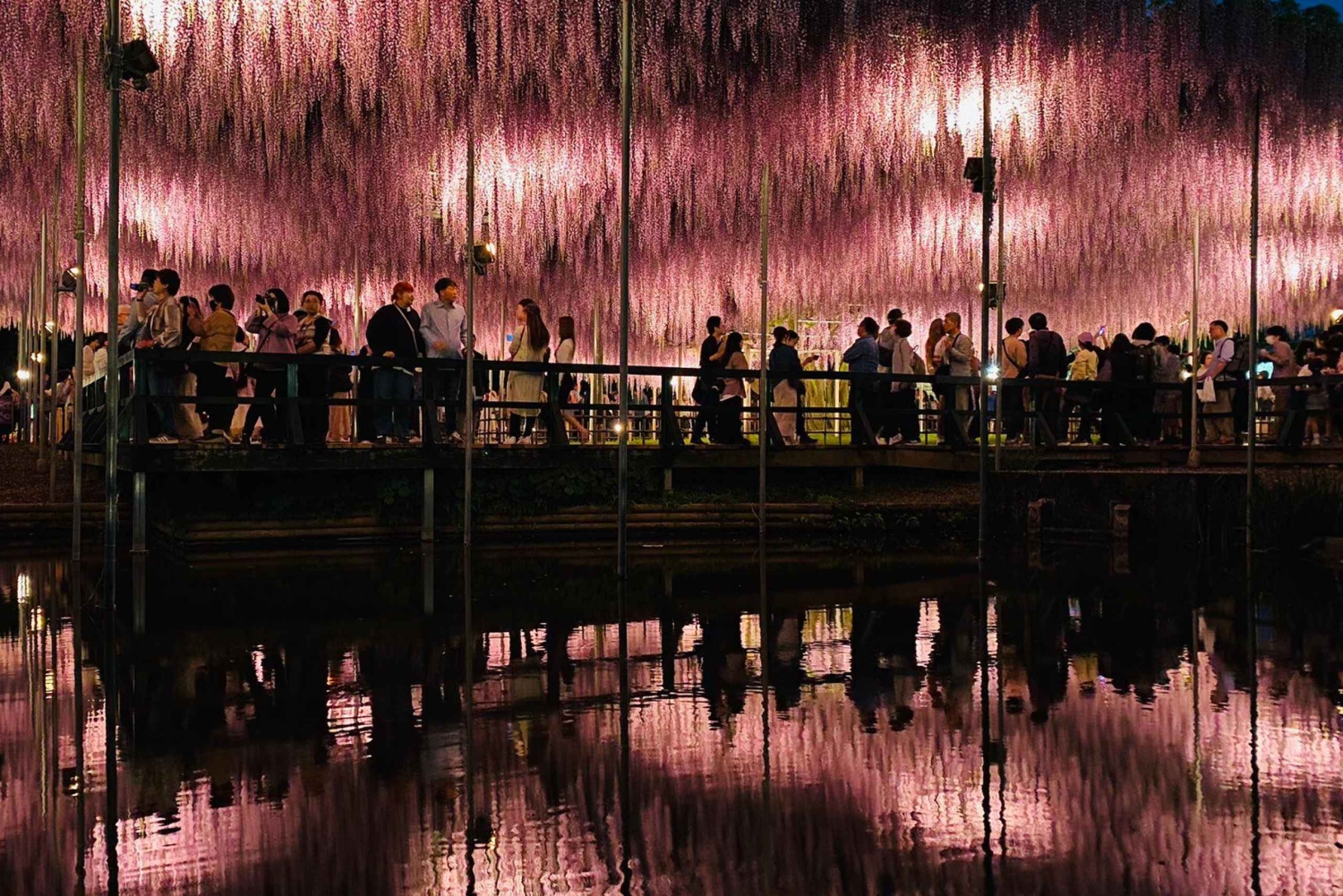 Tokio: Ashikaga Flower Park z biletem wstępu