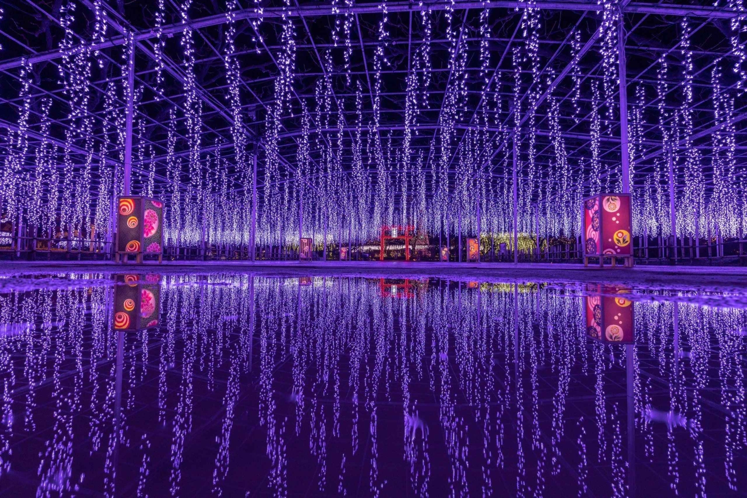 Tokio: Ashikaga Flower Park z biletem wstępu