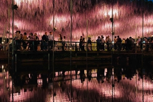 Tokio: Ashikaga Flower Park z biletem wstępu