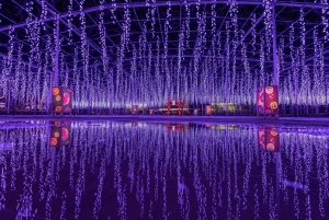 Tokio: Ashikaga Flower Park z biletem wstępu
