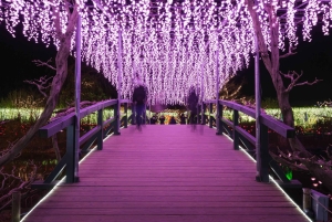 Tokio: Ashikaga Flower Park z biletem wstępu