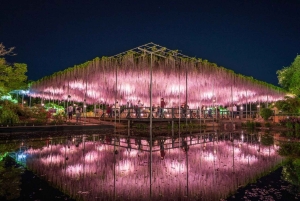 Tokio: Ashikaga Flower Park z biletem wstępu