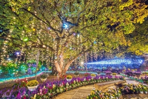 Tokio: Ashikaga Flower Park z biletem wstępu