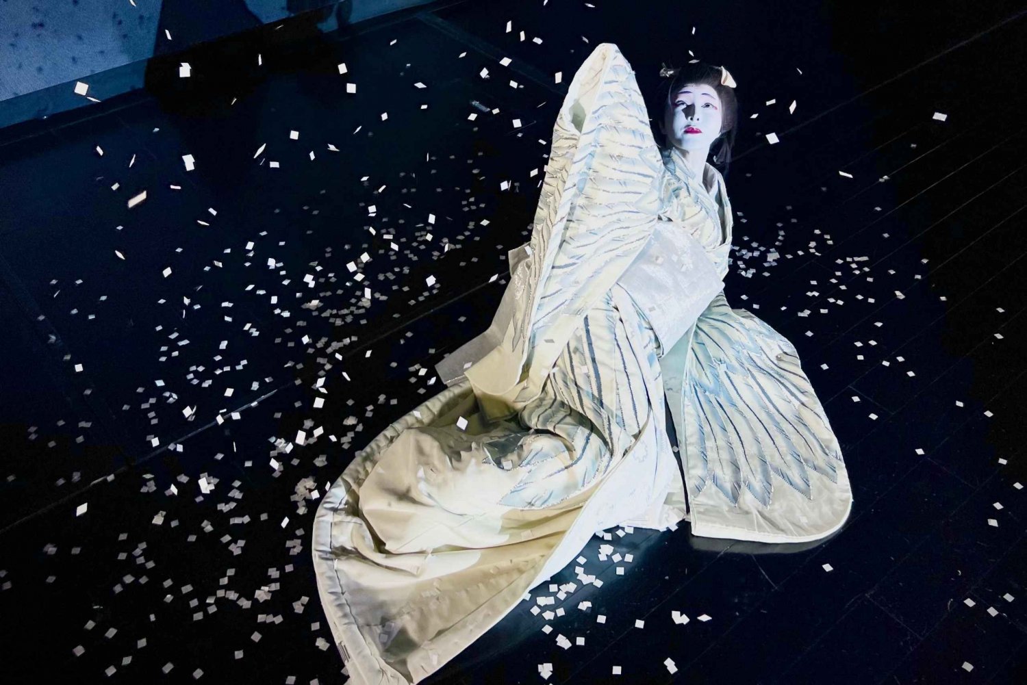 Tokio: Auténtico espectáculo de danza japonesa ticket de entrada por profesionales