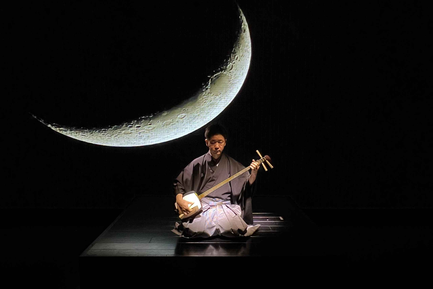 Tokio: Authentieke Japanse Dansshow ticket door professionals