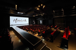 Tokio: Authentieke Japanse Dansshow ticket door professionals