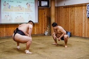 Tokyo : Expérience authentique des combats de sumo avec déjeuner