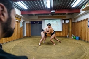 Tokyo : Expérience authentique des combats de sumo avec déjeuner