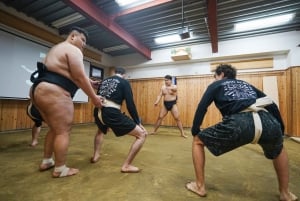 Tokyo : Expérience authentique des combats de sumo avec déjeuner