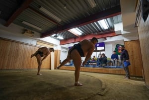 Tokyo : Expérience authentique des combats de sumo avec déjeuner