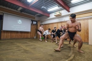 Tokyo : Expérience authentique des combats de sumo avec déjeuner