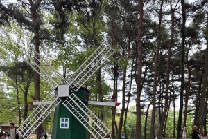 Tokio: maravillas otoñales en el parque Hitachi y las cascadas de Fukuroda