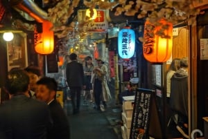 Tokyo Bar-Hopping Tour