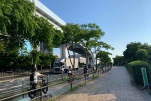 Tokyo Bay-området: Guidet tur på elcykel på 3 timer med udsigt ved solnedgang