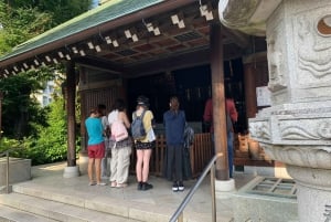 Tokyo Bay-området: Guidet tur på elcykel på 3 timer med udsigt ved solnedgang