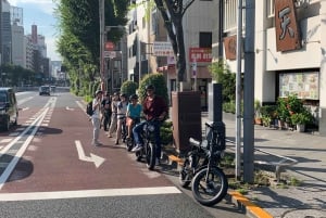 Tokyo Bay-området: Guidet tur på elcykel på 3 timer med udsigt ved solnedgang