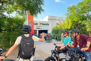 Tokyo Bay-området: Guidet tur på elcykel på 3 timer med udsigt ved solnedgang