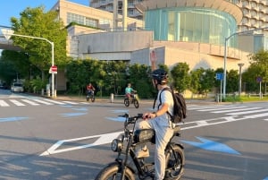 Tokyo Bay-området: Guidet tur på elcykel på 3 timer med udsigt ved solnedgang